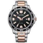 ساعت مچی مردانه سیتیزن CITIZEN AW1524-84E