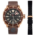 ساعت مچی مردانه آلپینا ALPINA AL-525LBBR4V4 - Image 5