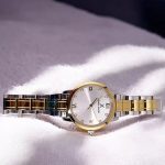 ساعت مچی زنانه دنیل کلین DANIEL KLEIN DK.1.13773-3 - Image 5