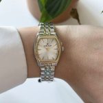 ساعت مچی زنانه دنیل کلین DANIEL KLEIN DK.1.13870-5 - Image 2