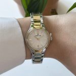 ساعت مچی زنانه دنیل کلین DANIEL KLEIN DK.1.13907-5 - Image 2