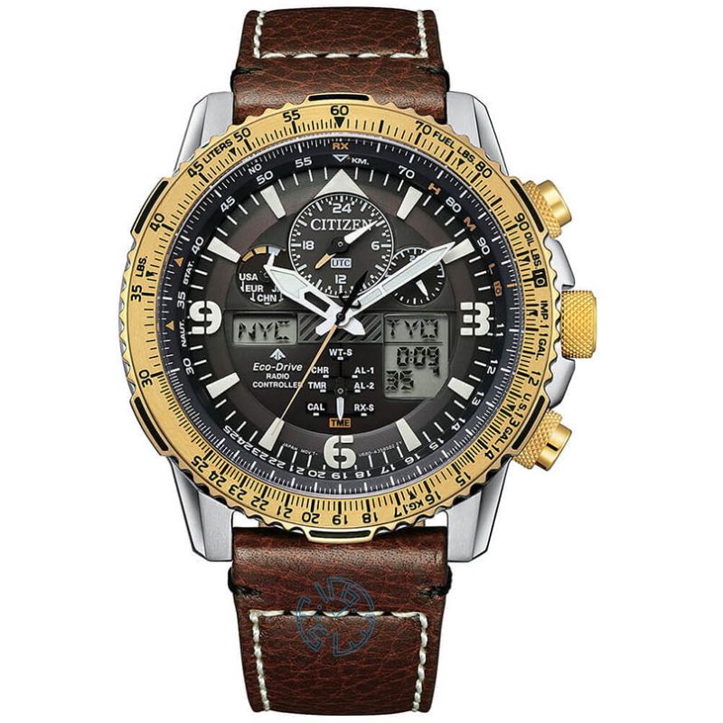 ساعت مچی مردانه سیتیزن CITIZEN JY8084-17H